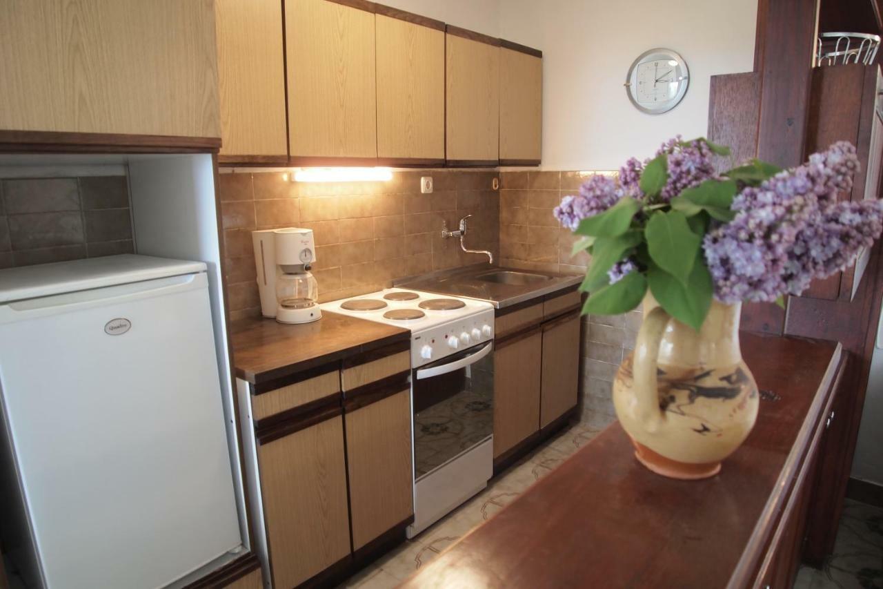 Apartments Gorana ツリクヴェニツァ エクステリア 写真